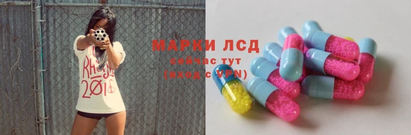 соль ск Алзамай