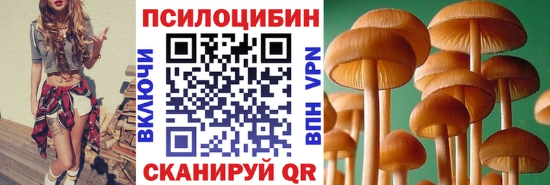 Галлюциногенные грибы Psilocybine cubensis  Киселёвск 